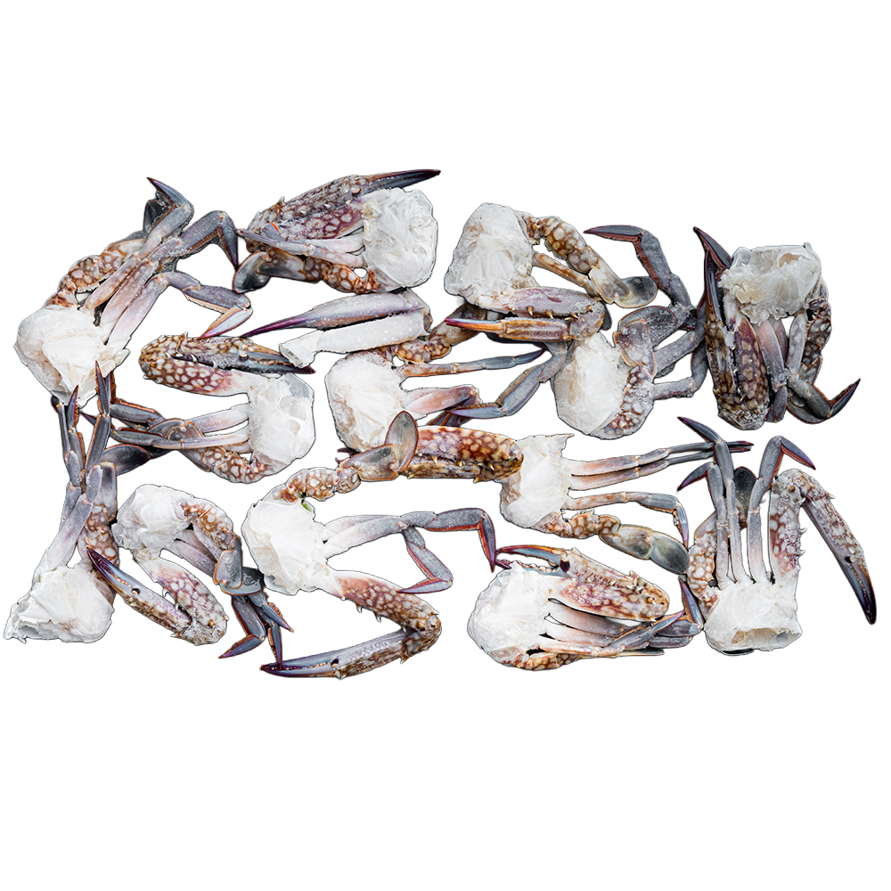 HALF CUT - BLUE SWIMMING CRAB