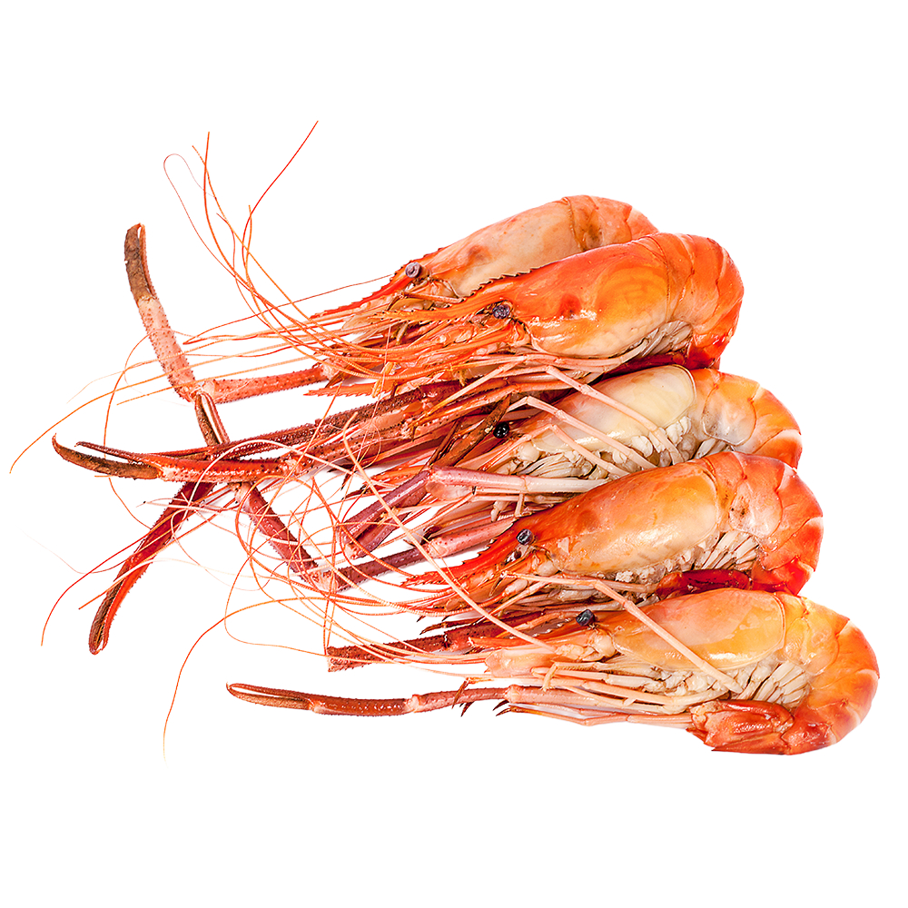 Cooked Fresh Water Scampi - Prawns