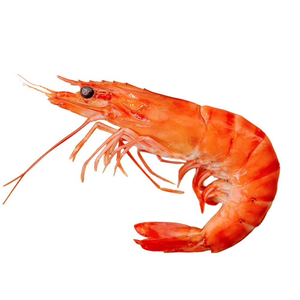 Whole Cooked - Prawns