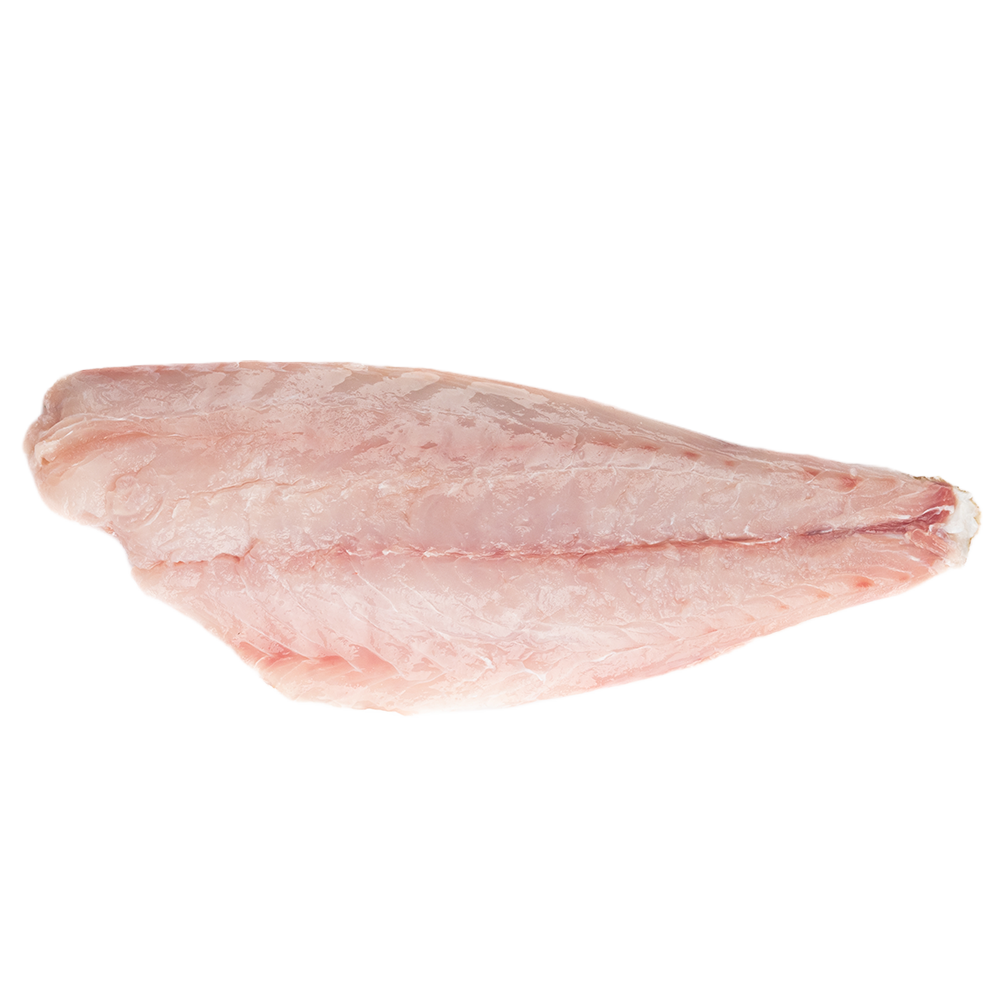 Grouper Fillet